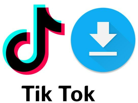 TikTok Aslan Ne Kadar?