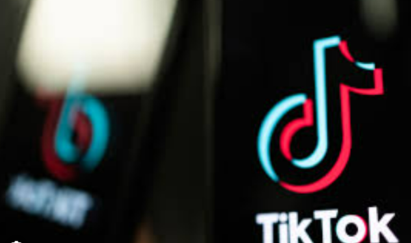 TikTok Silinen Video Geri Getirme