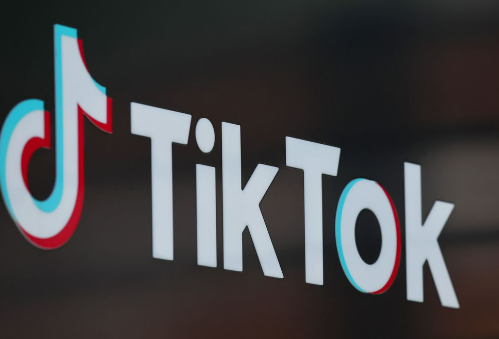 TikTok Takip Edemiyorum