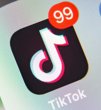 TikTok 1 Elmas Kaç TL?